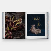 Emily Thompson Flowers