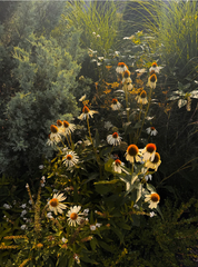 Garden Stories Candle