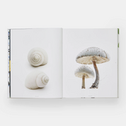 Still: The Art of Noticing