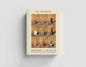 Joel Meyerowitz: Morandi's Objects