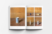 Joel Meyerowitz: Morandi's Objects