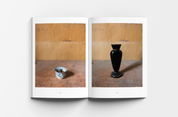 Joel Meyerowitz: Morandi's Objects