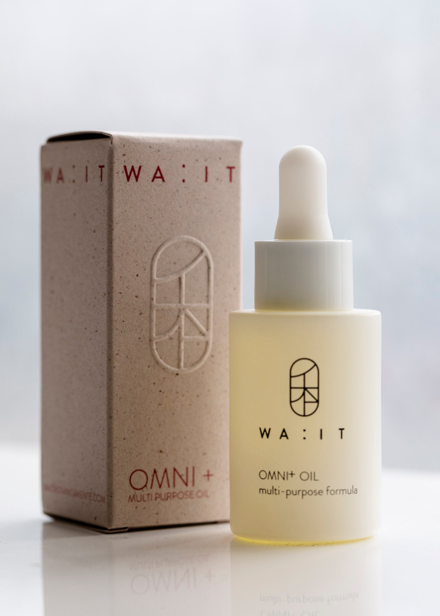WA-IT_Omni_everywhere_oil-2.jpg