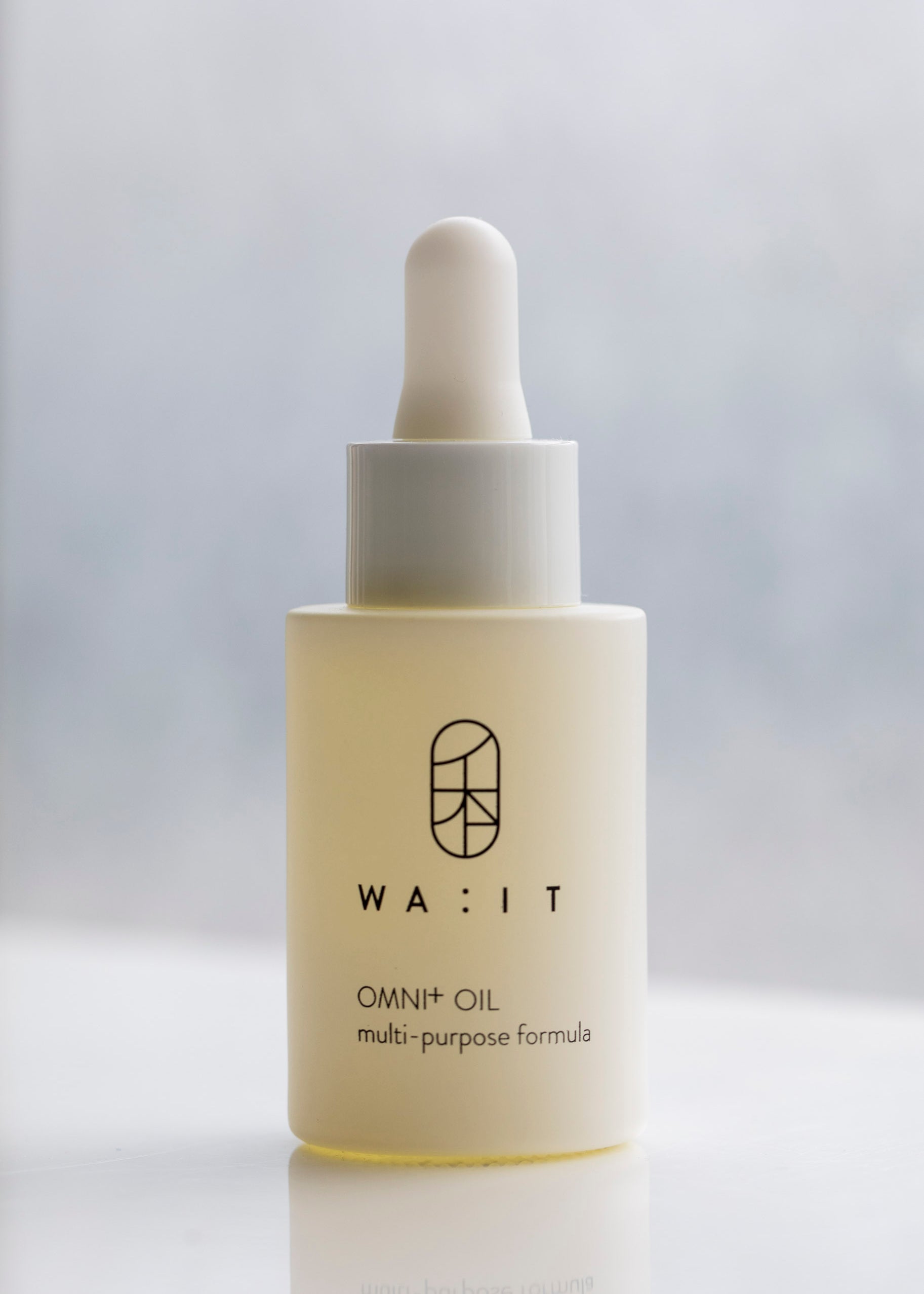WA-IT_Omni_everywhere_oil-3.jpg