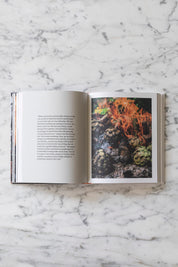 Cooking Greens On Fire