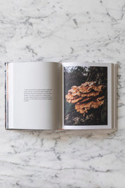 Cooking Greens On Fire