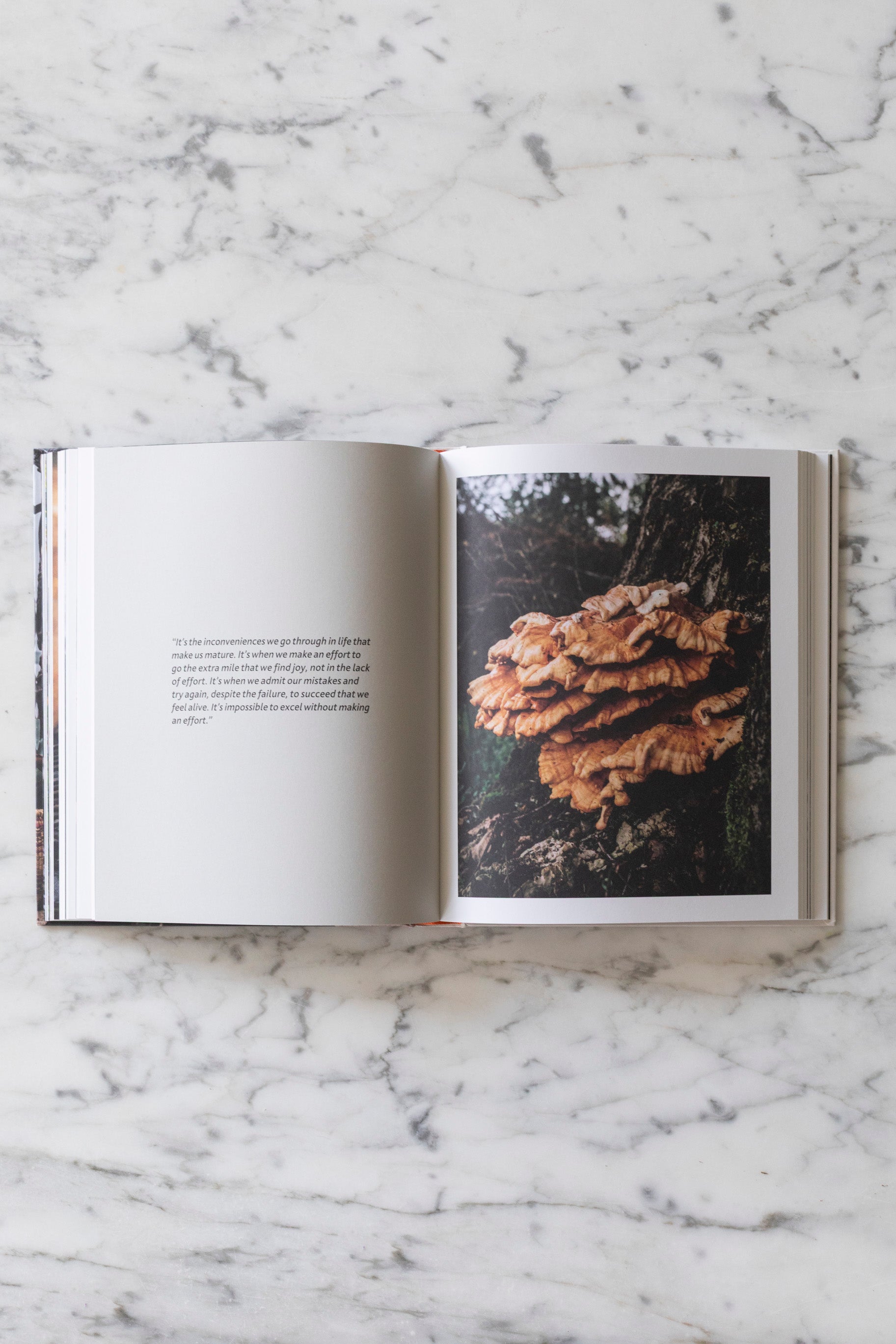 Cooking Greens On Fire