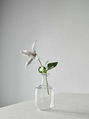 Como Vases Clear
