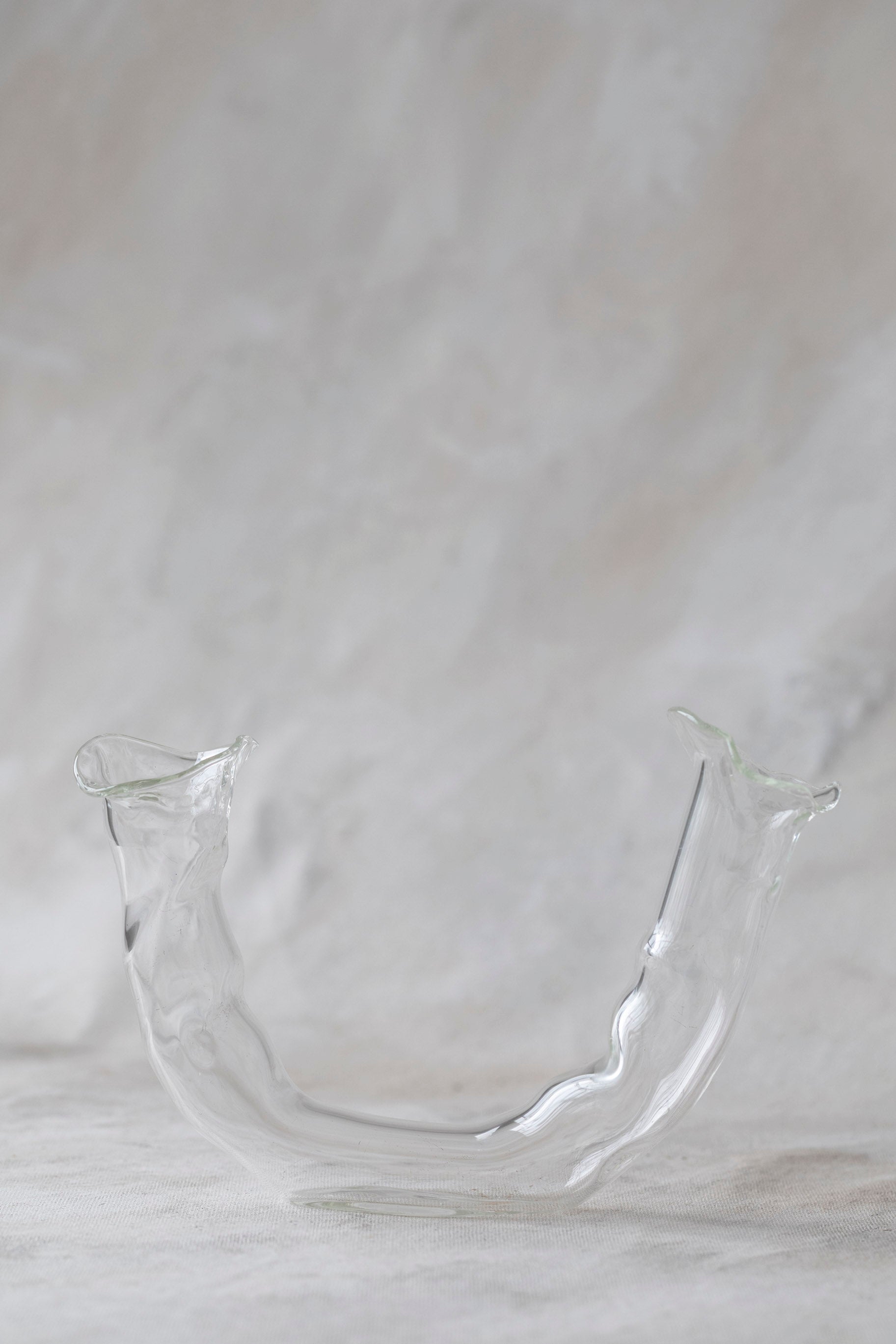 Horizontal Double Glass Vases