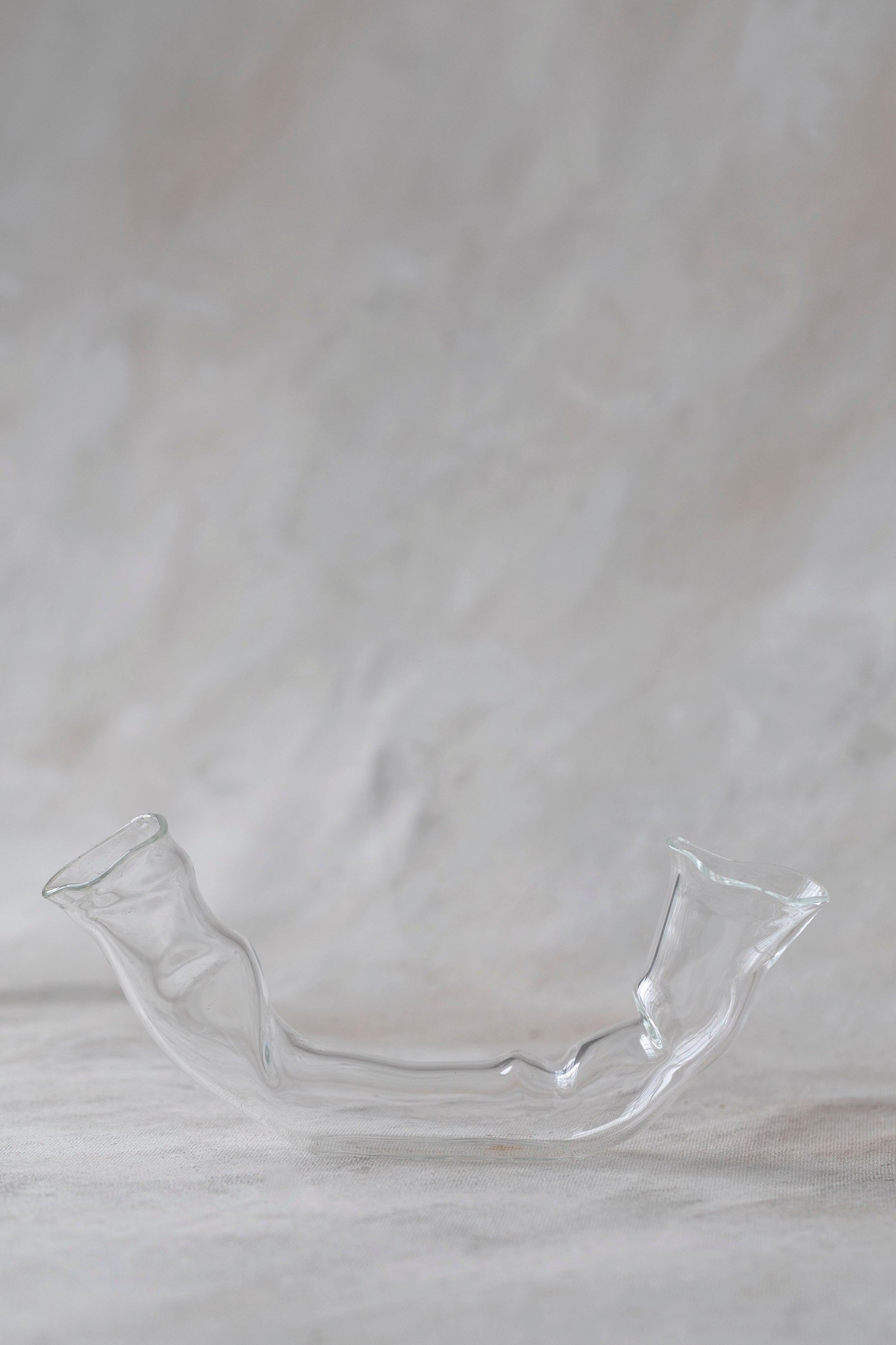 Horizontal Double Glass Vases