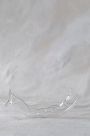 Horizontal Double Glass Vases