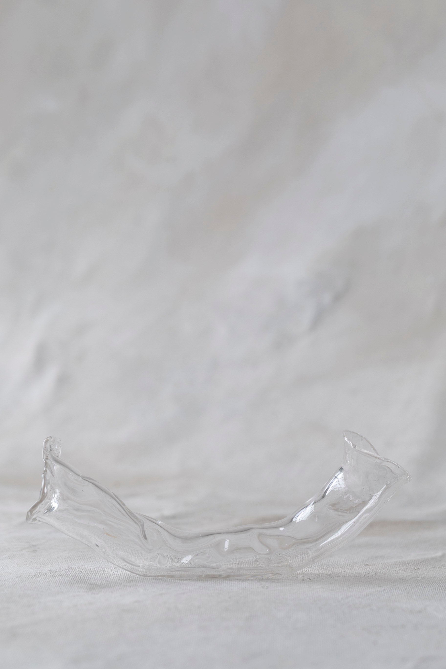 Horizontal Double Glass Vases