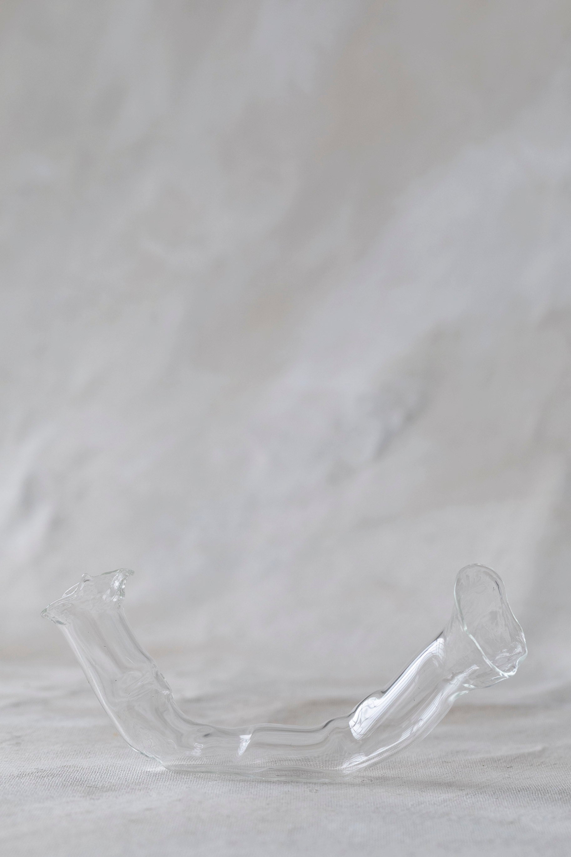 Horizontal Double Glass Vases
