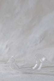Horizontal Double Glass Vases