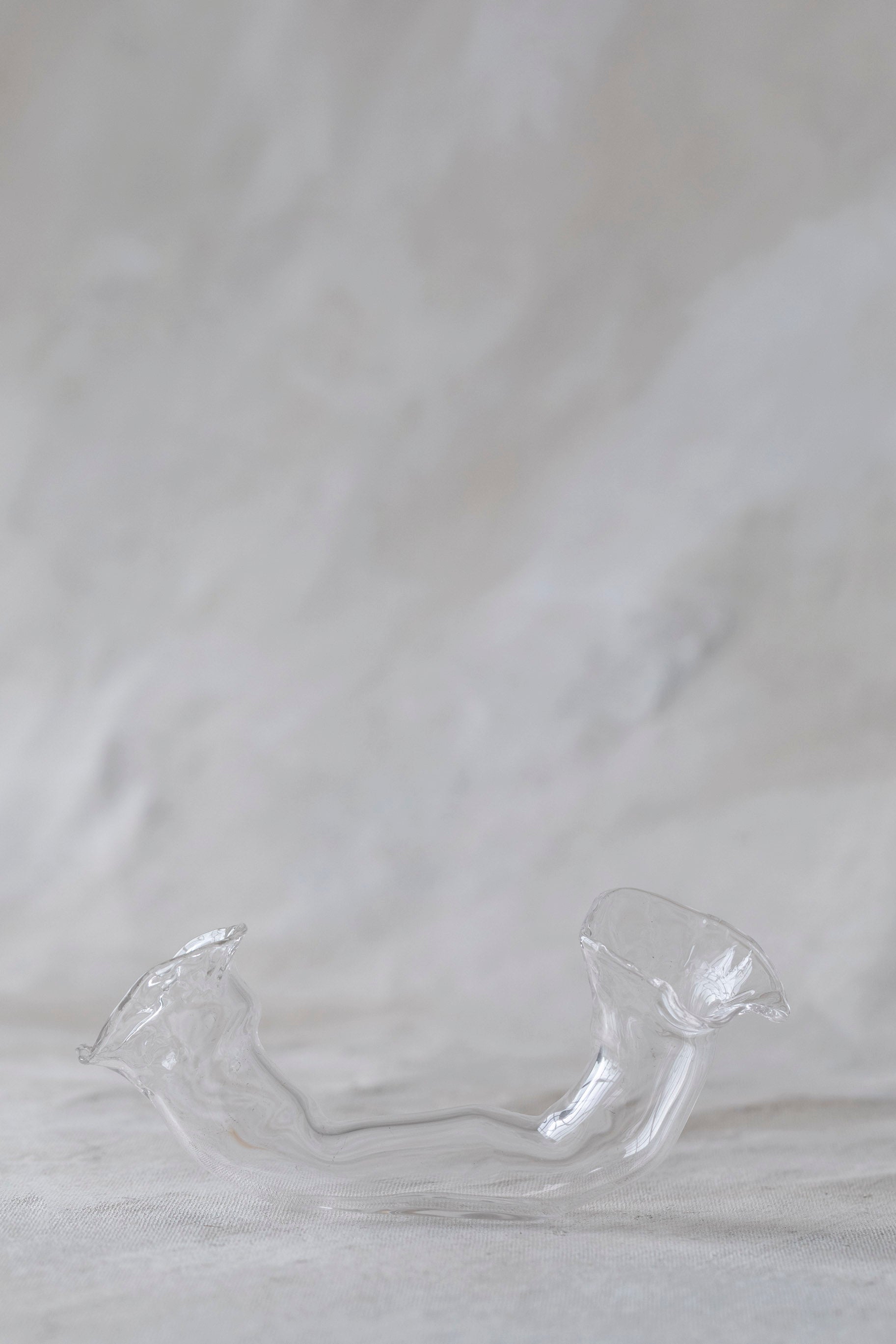 Horizontal Double Glass Vases