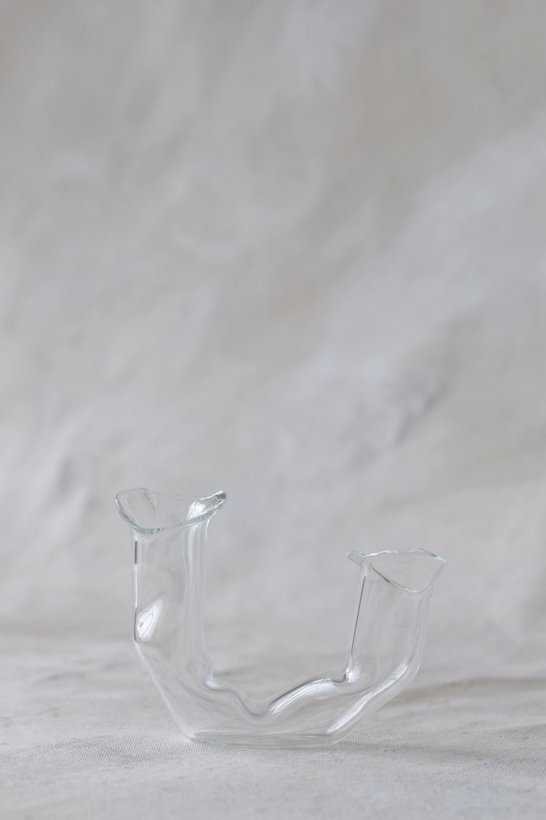 Horizontal Double Glass Vases