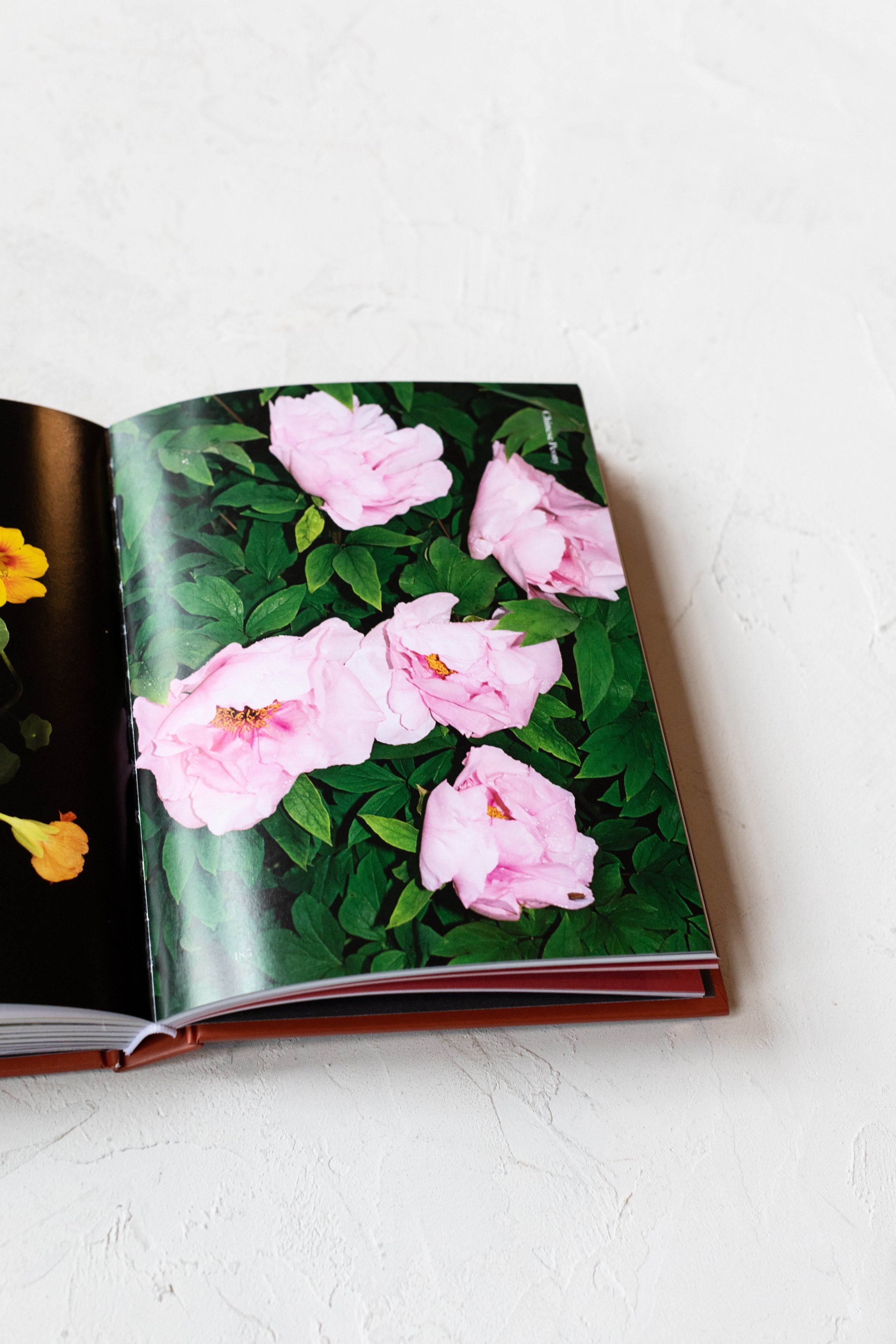 Edible Flowers: How, Why, and When We Eat Flowers | Phaidon
