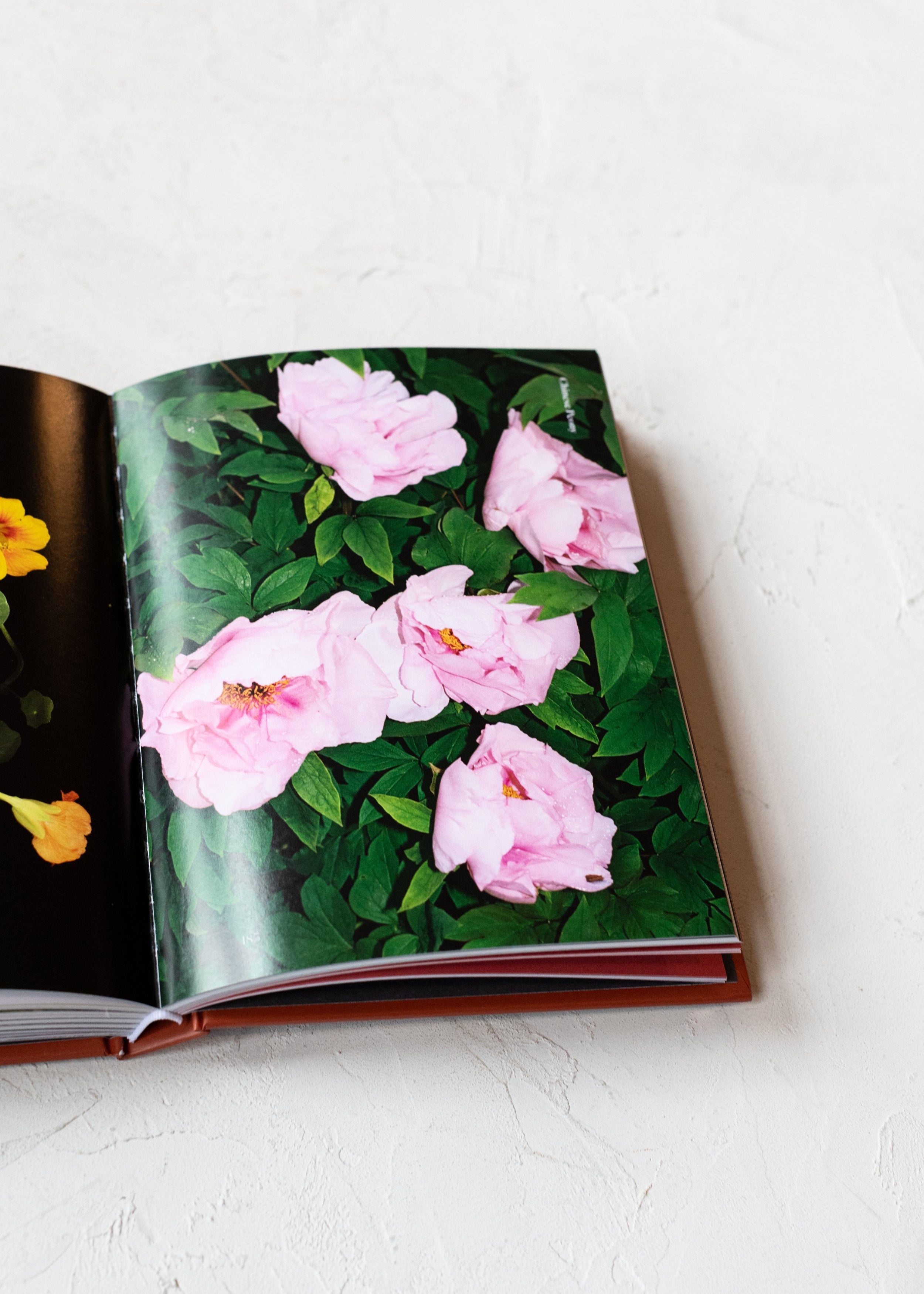 edible_flowers_book-4.jpg