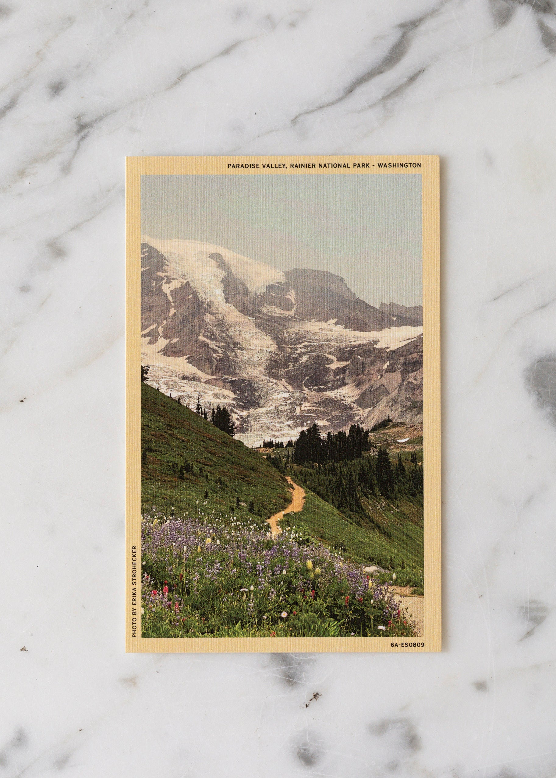 erika_strohecker_postcard_Set-4.jpg