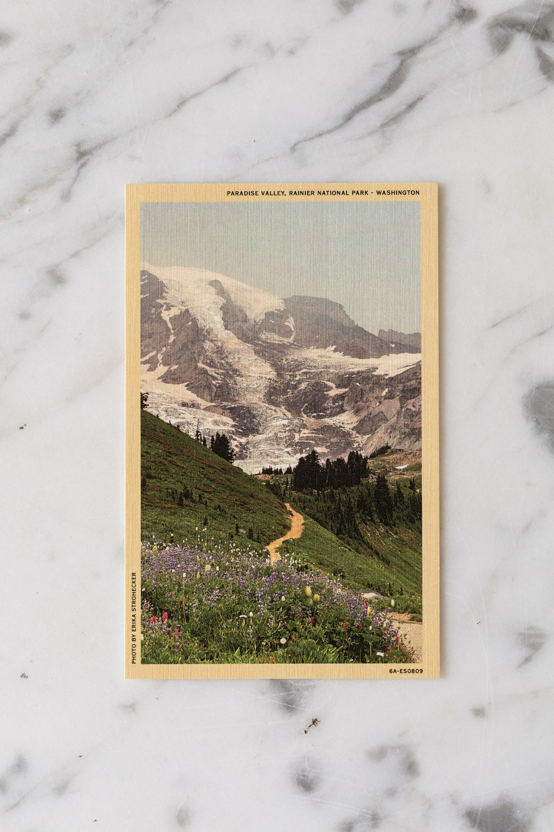 Erika's Postcard Set