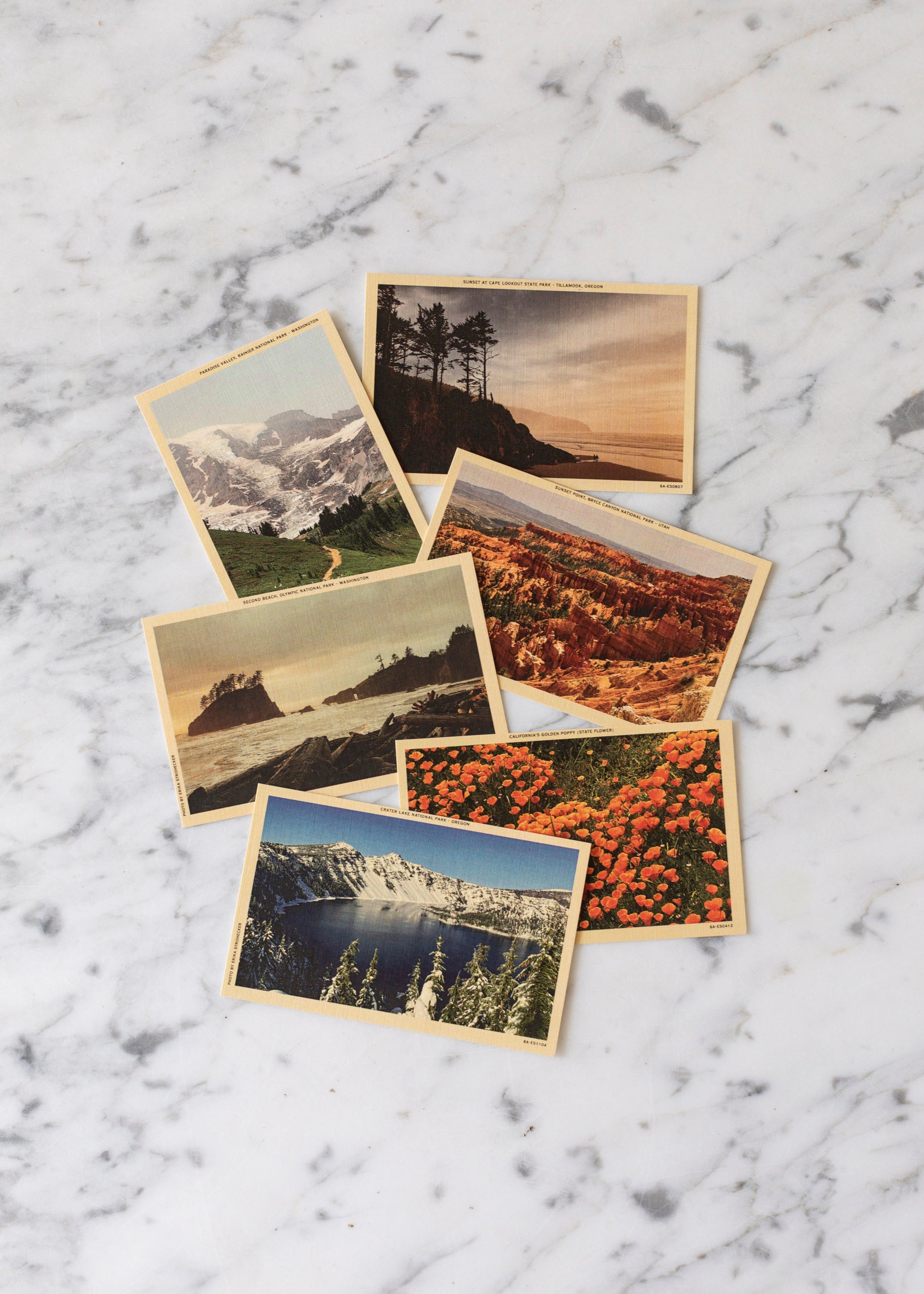 erika_strohecker_postcard_Set.jpg