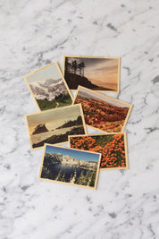 Erika's Postcard Set