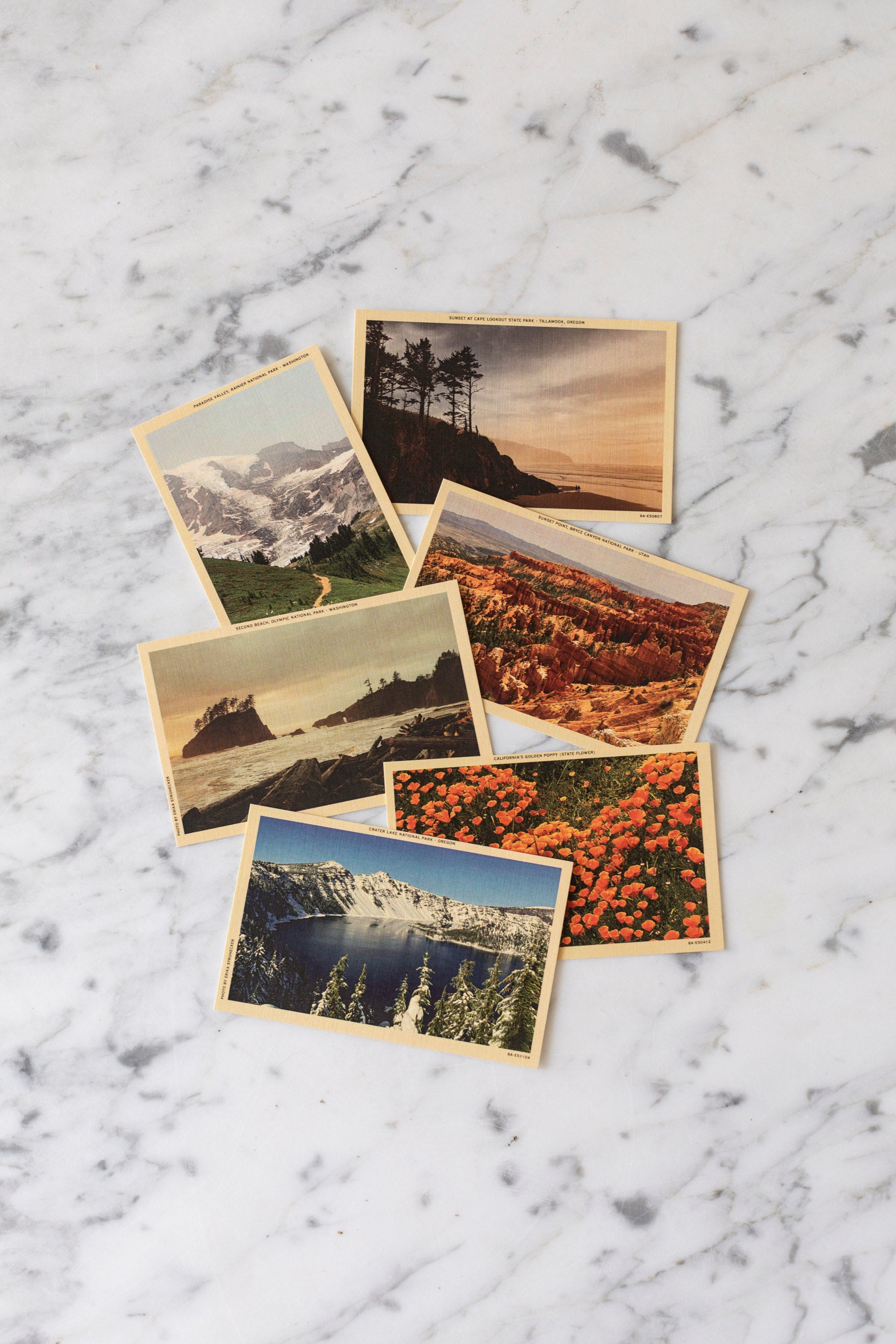 Erika's Postcard Set