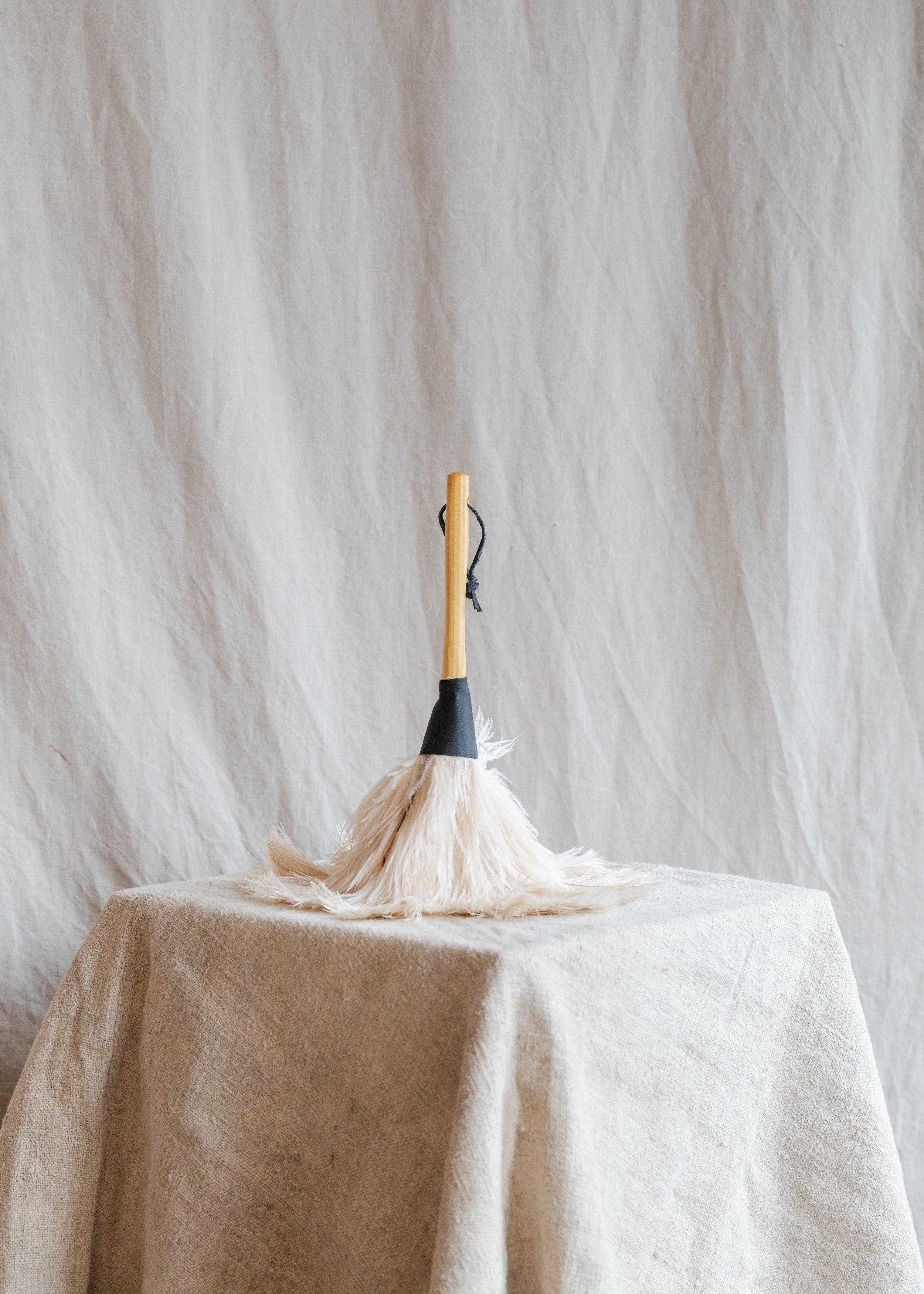 feather_duster-2.jpg