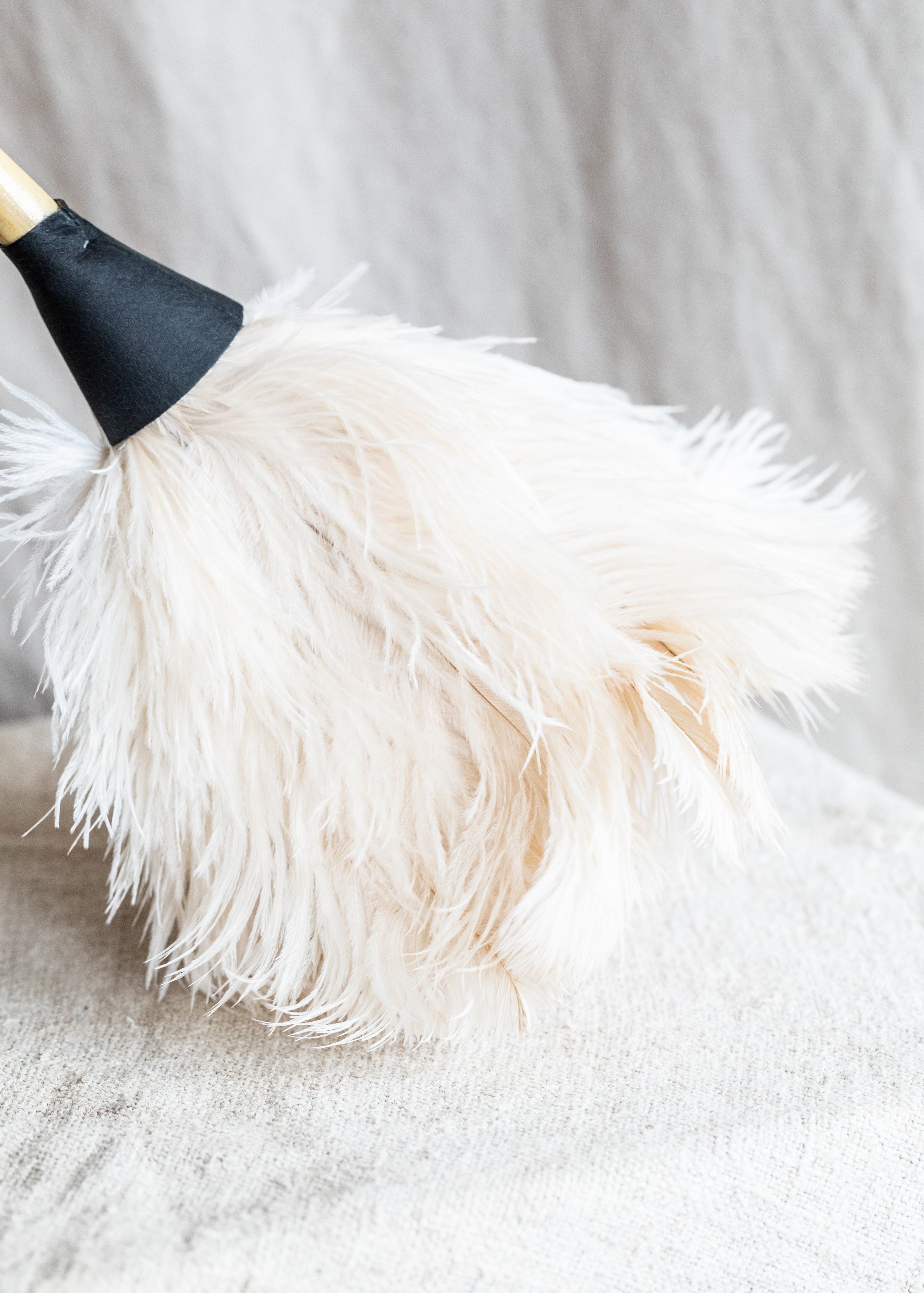 feather_duster-4.jpg