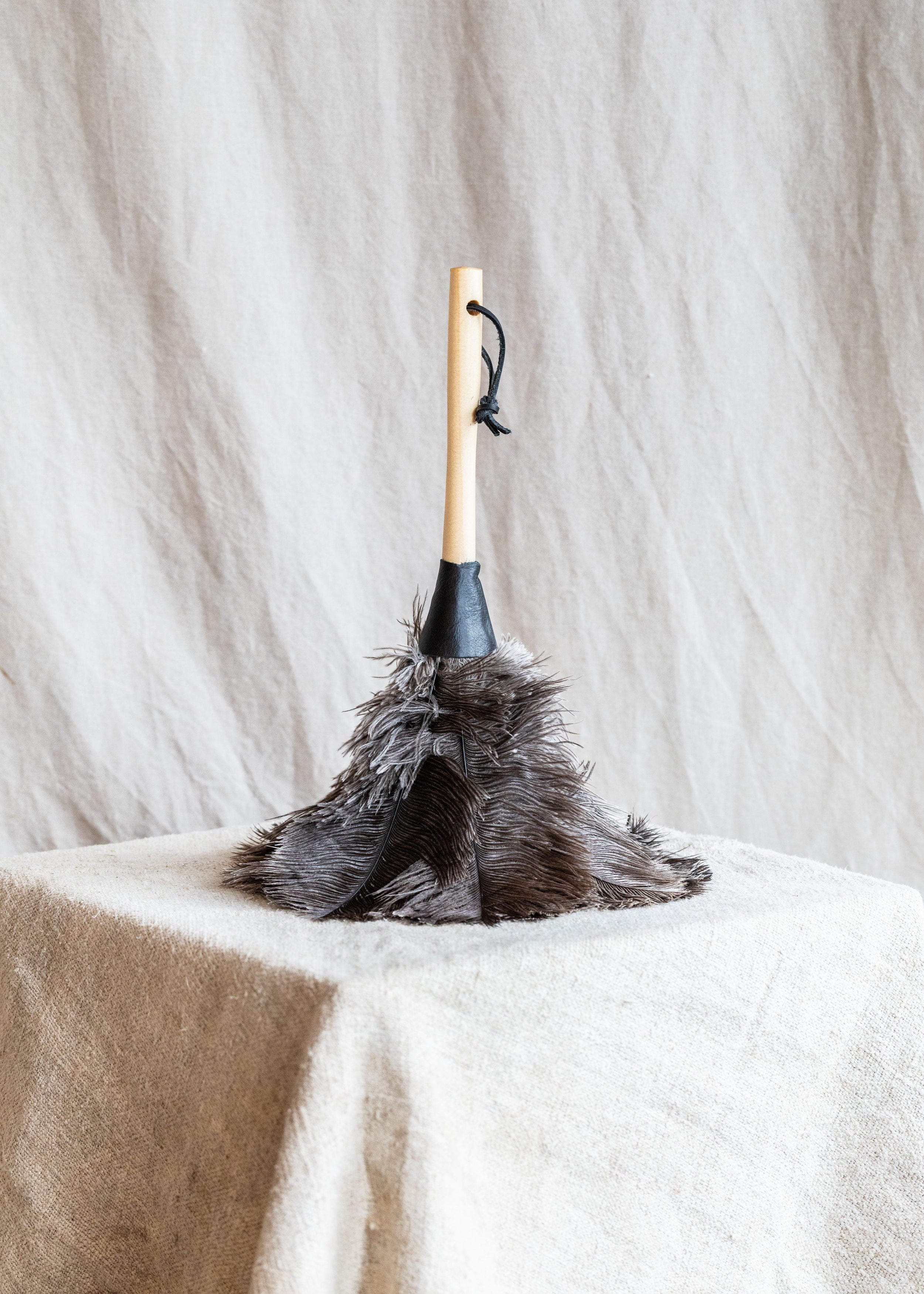 Feather Duster