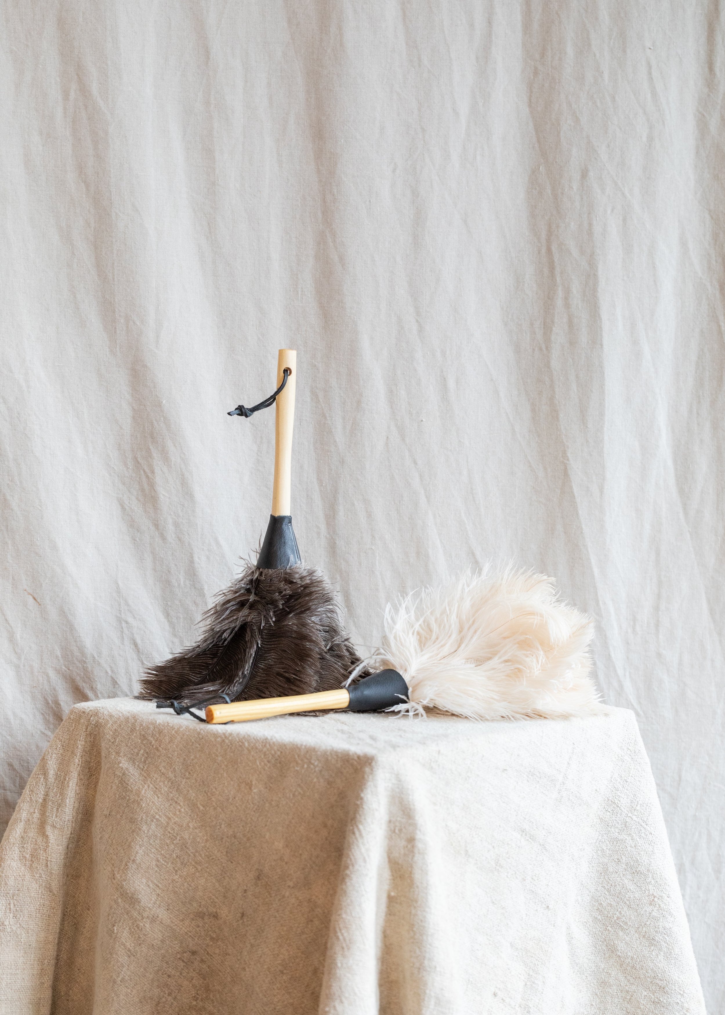 feather_duster.jpg