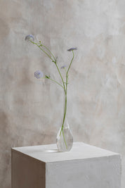 Glass Vase