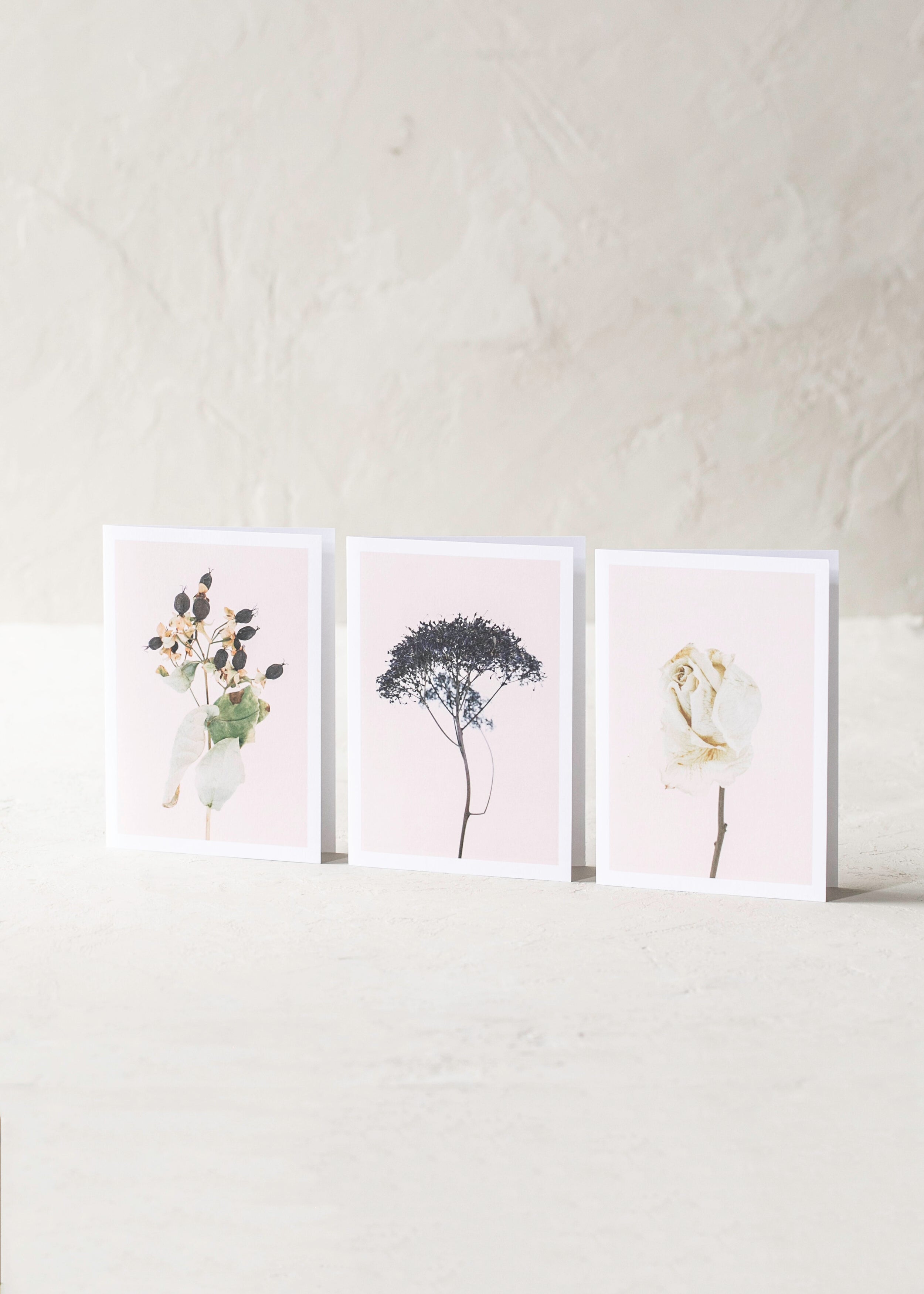 hamish-robertson-card-flowers.jpg