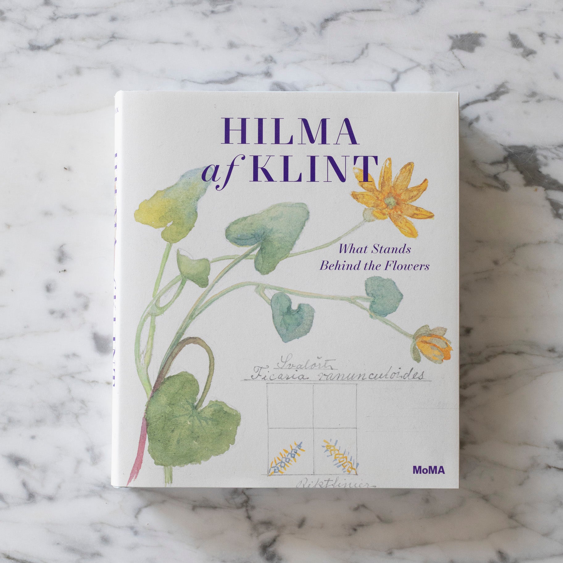 hilma_af_klint_book-2.jpg