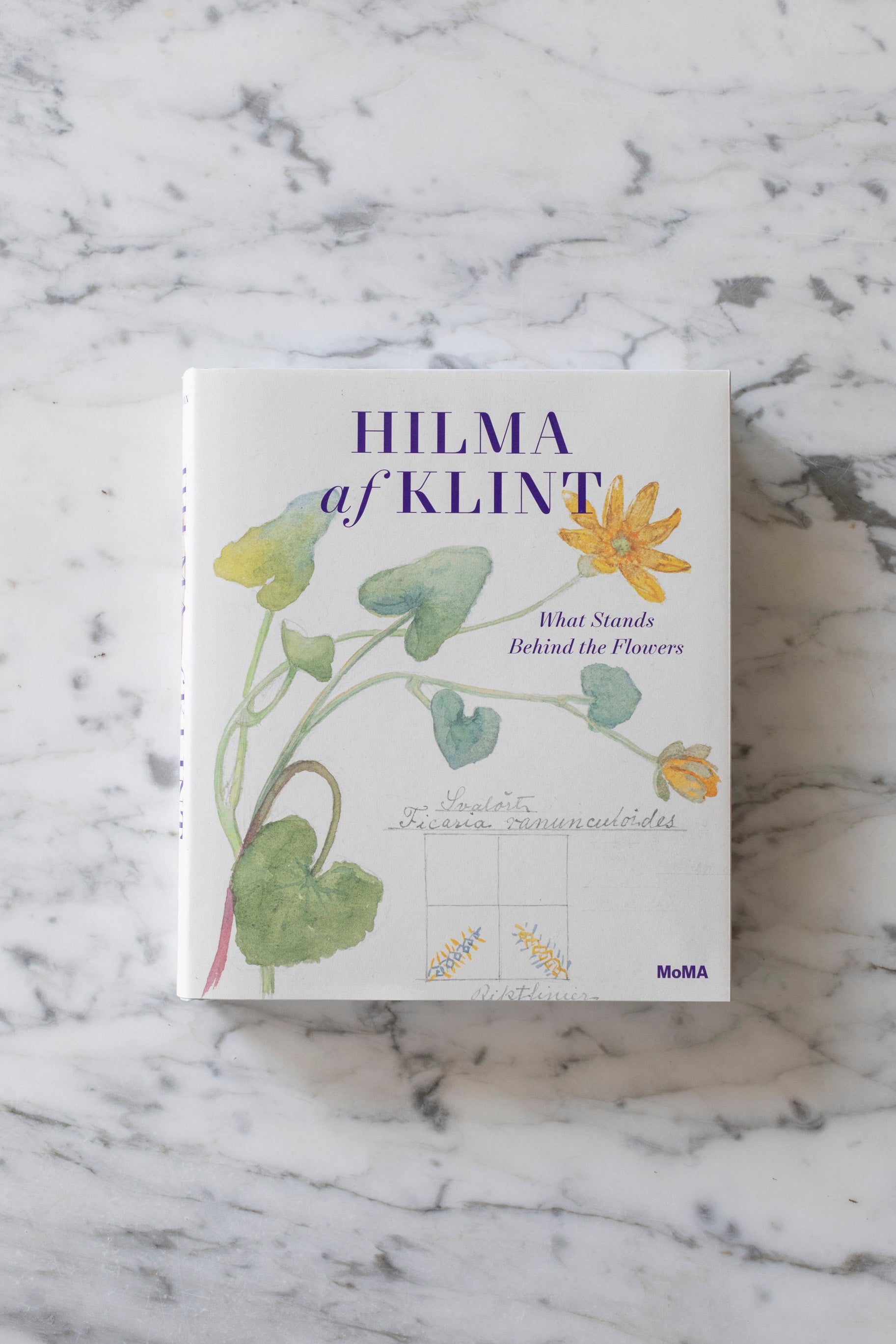 hilma_af_klint_book-2.jpg