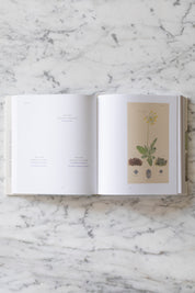 Hilma af Klint: What Stands Behind the Flowers