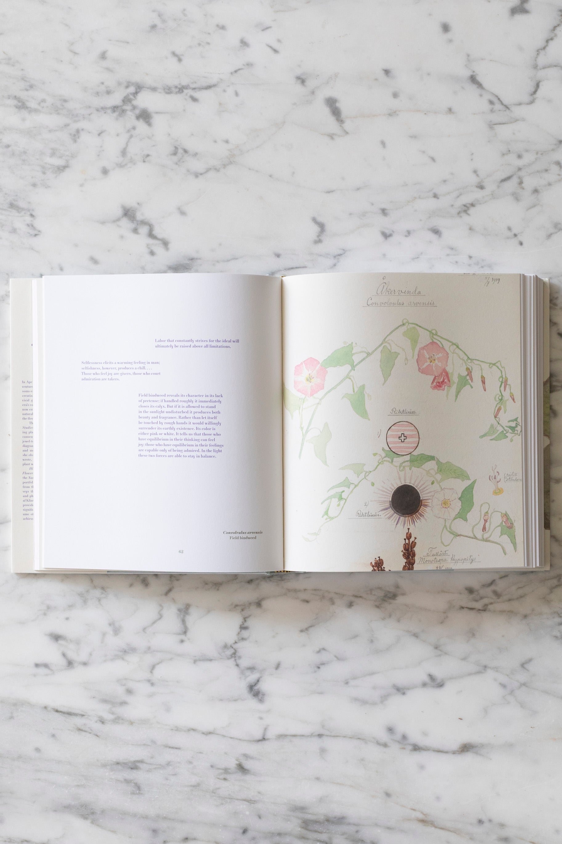 Hilma af Klint: What Stands Behind the Flowers