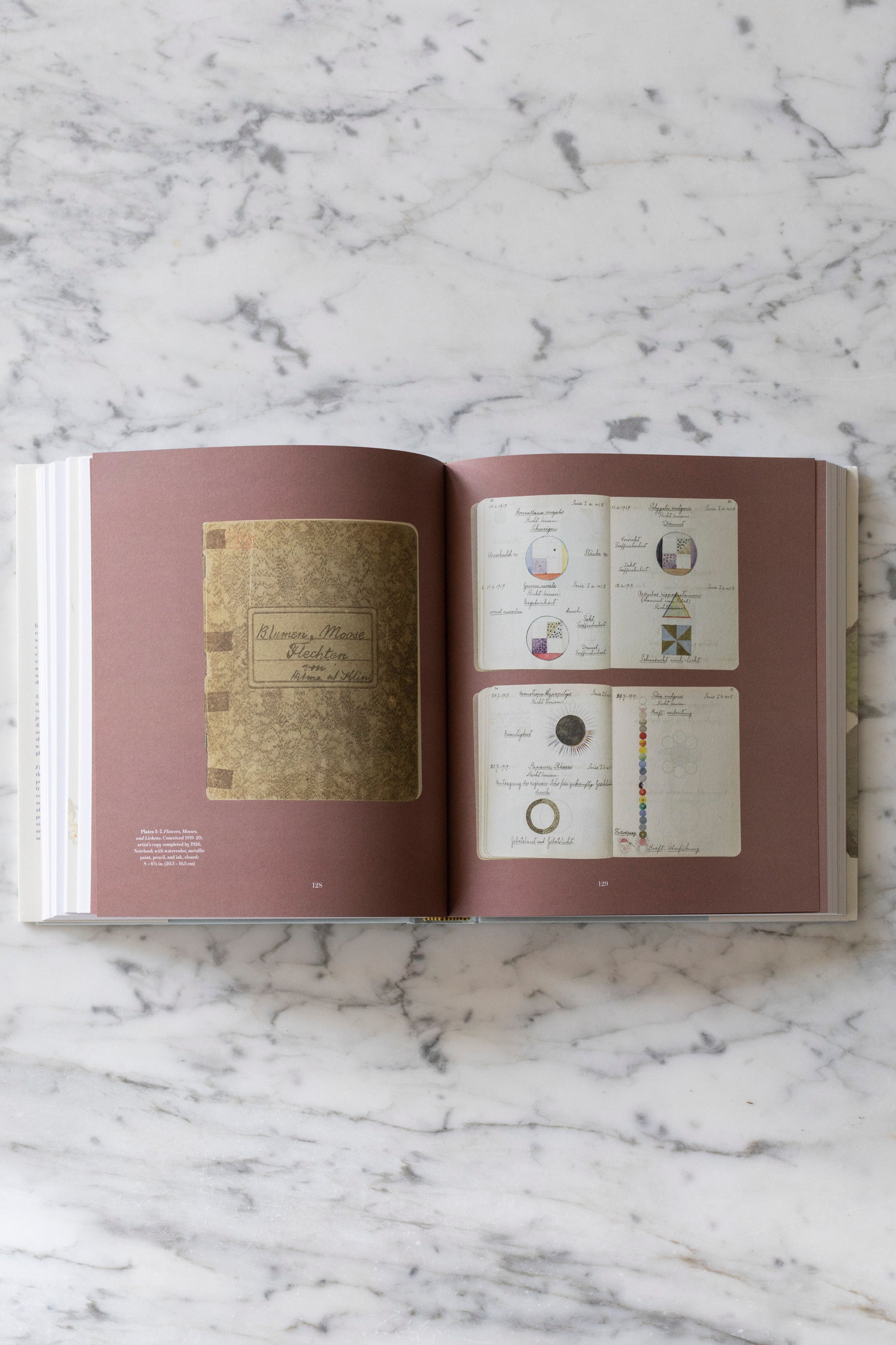 Hilma af Klint: What Stands Behind the Flowers