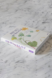 Hilma af Klint: What Stands Behind the Flowers