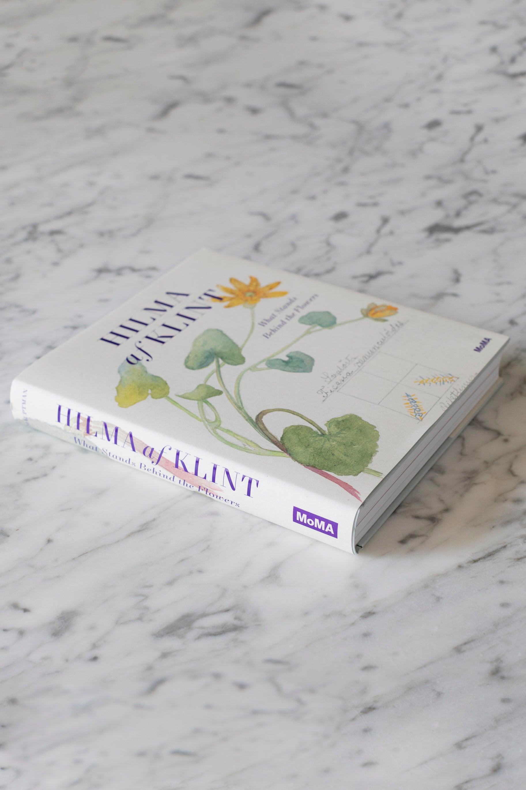 Hilma af Klint: What Stands Behind the Flowers