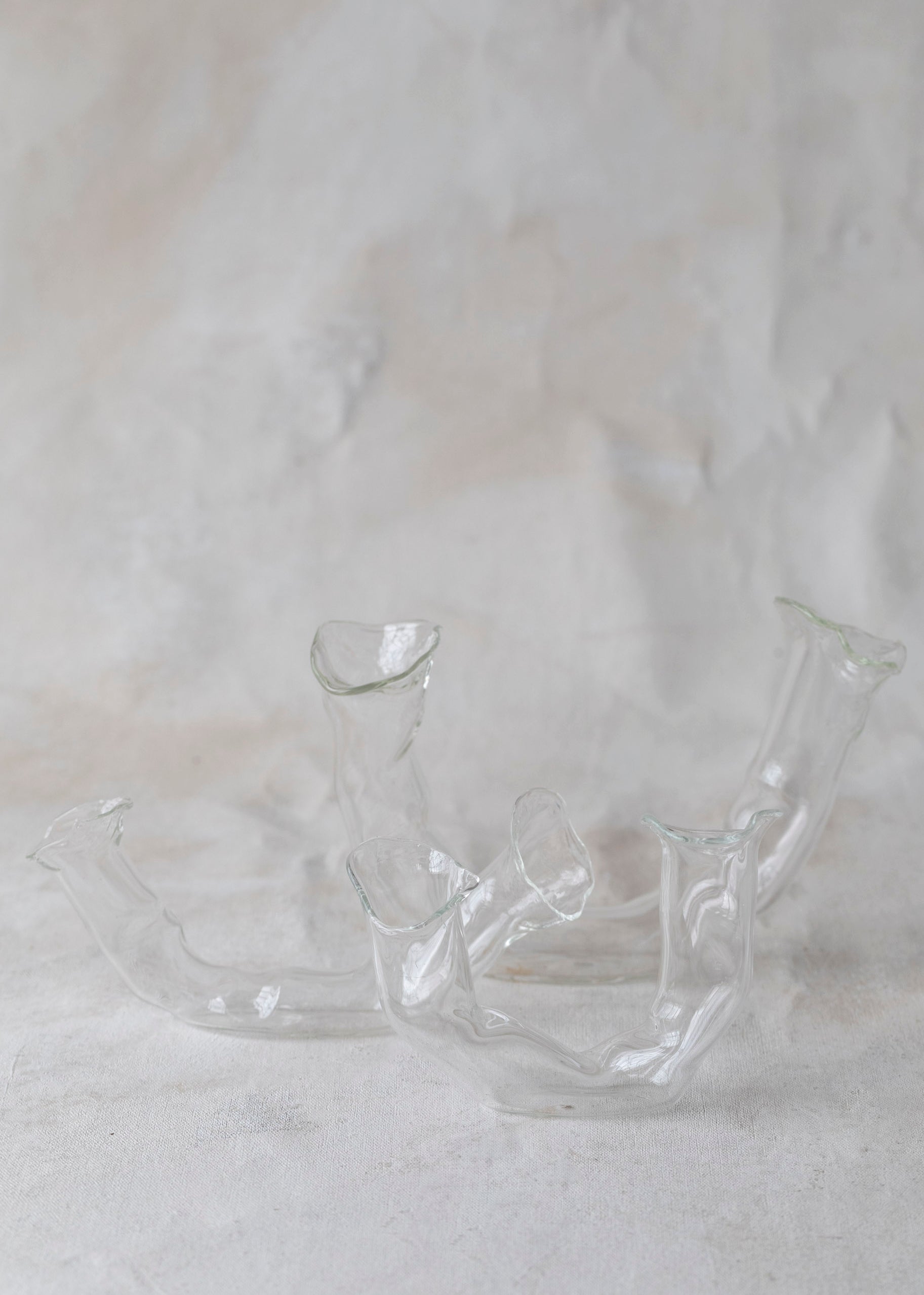 horizontal_double_glass_vases-2.jpg
