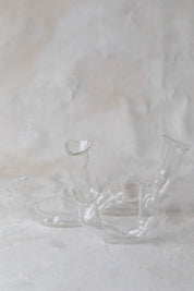 Horizontal Double Glass Vases