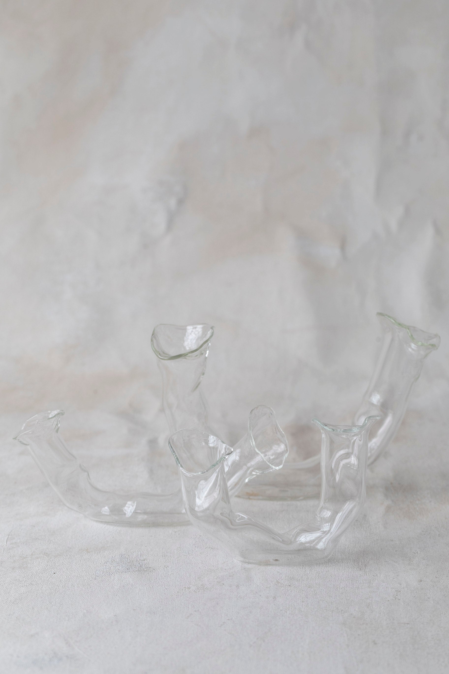 Horizontal Double Glass Vases