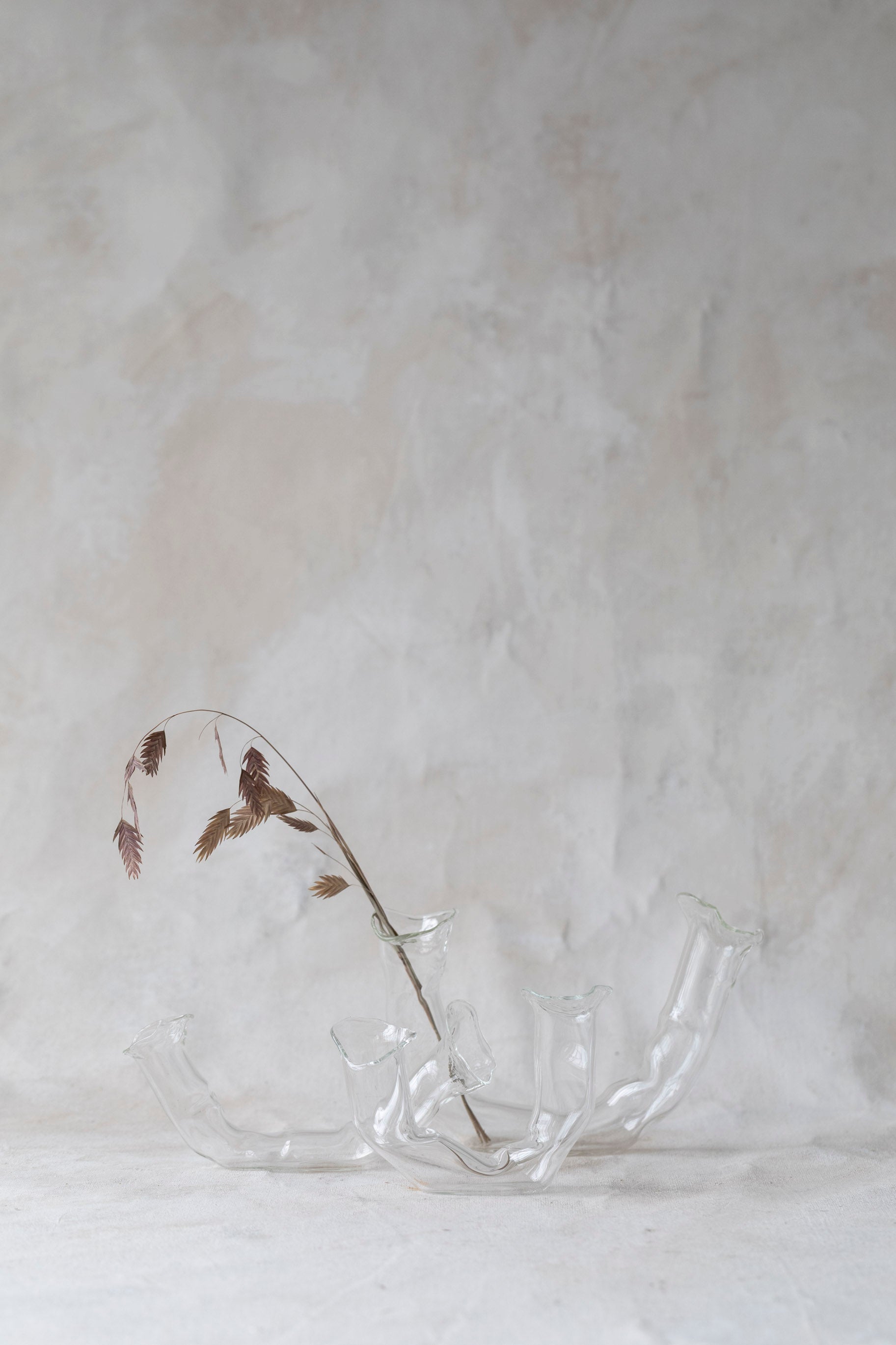 Horizontal Double Glass Vases
