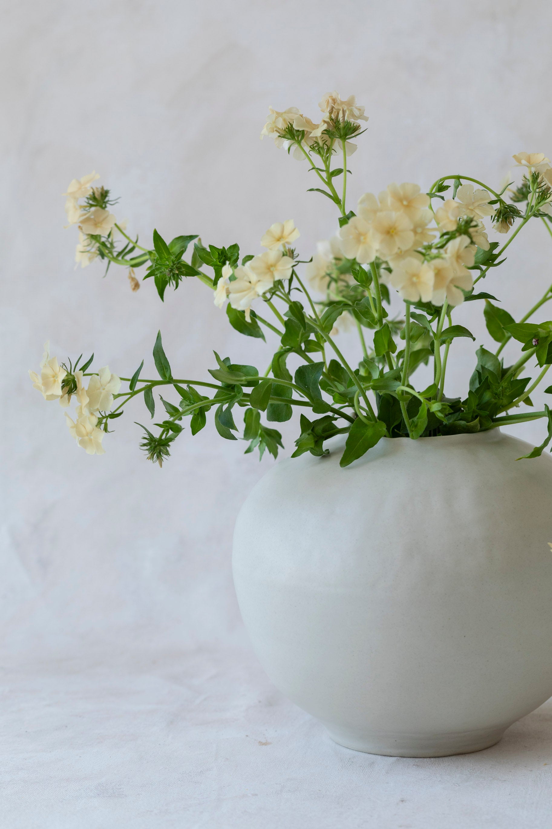 Large Moon Vase