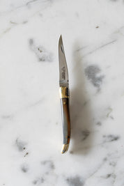 Laguiole en Aubrac 3" Folding Knife in Horn