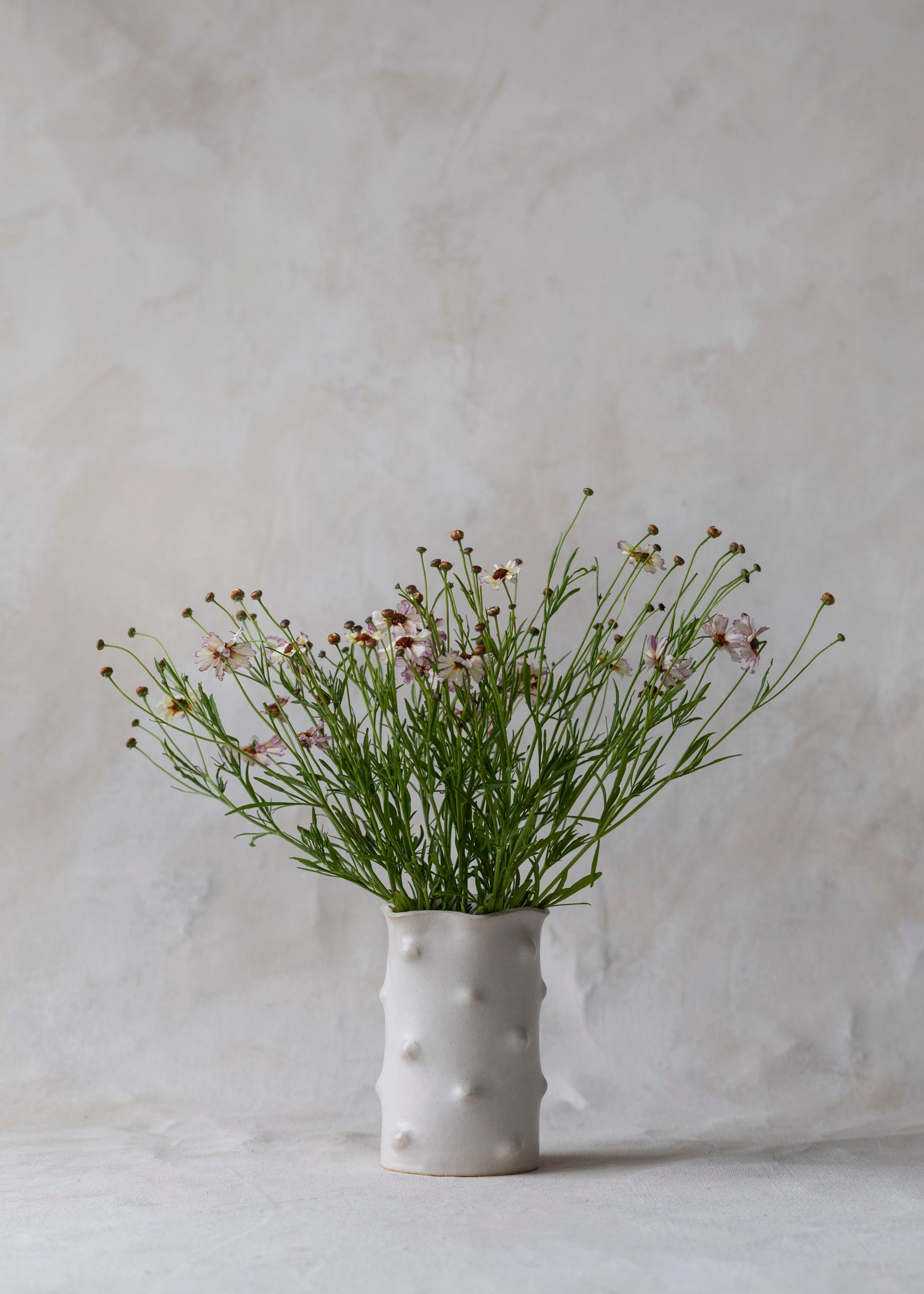 palome_vase-2.jpg