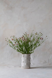 Paloma Vase