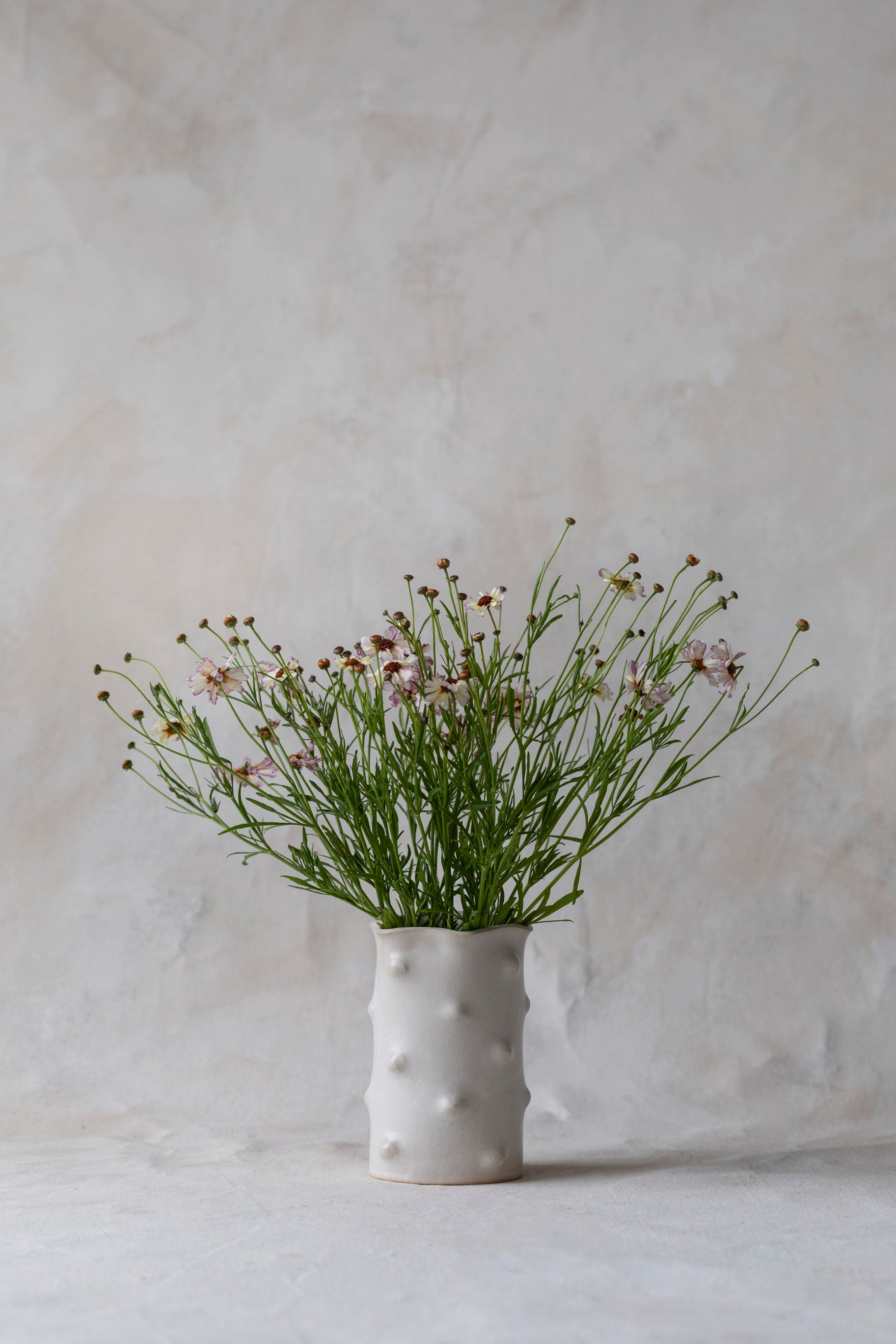 Paloma Vase
