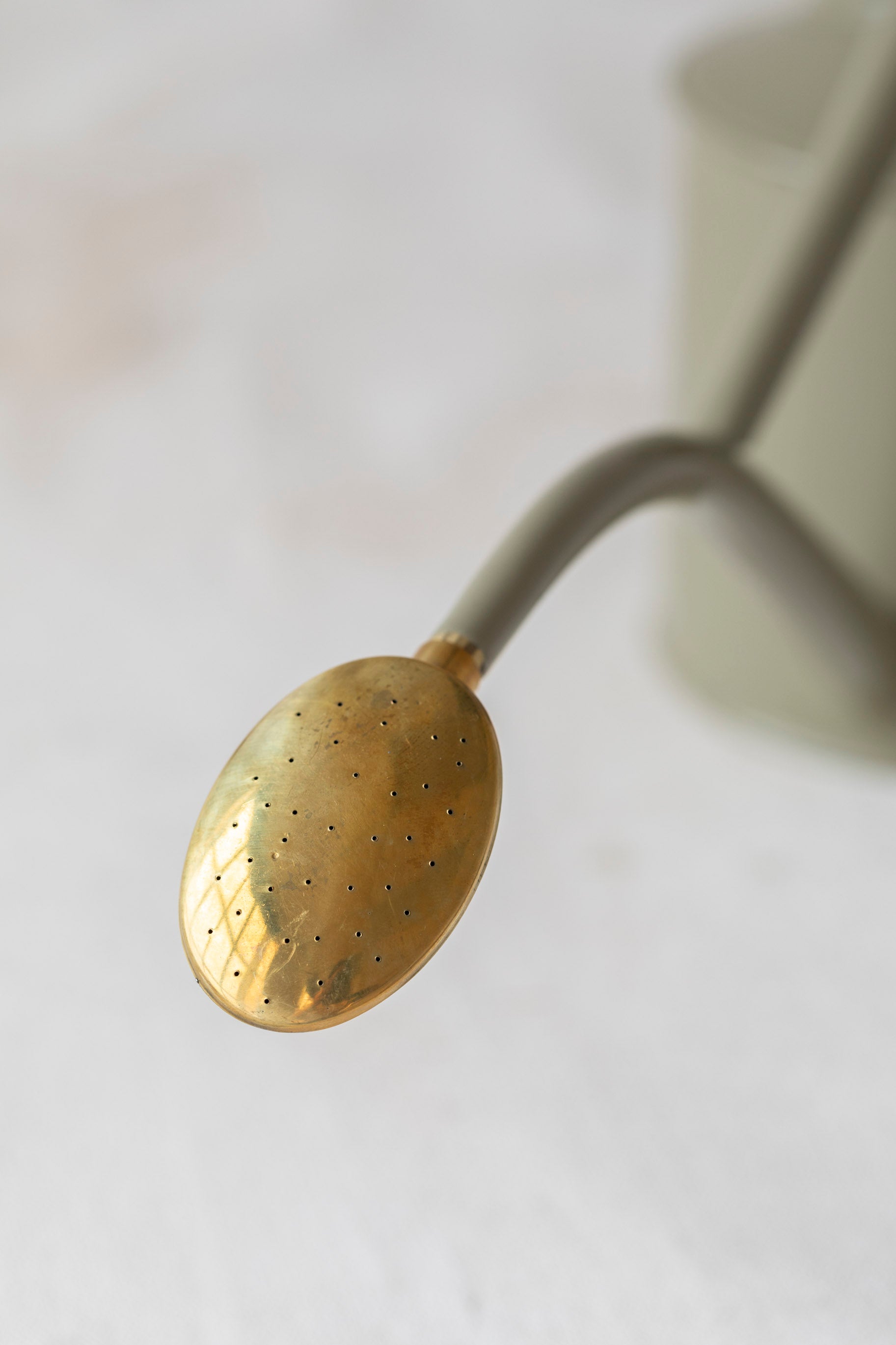 The Rowley Ripple - Two Pint in Lichen Green